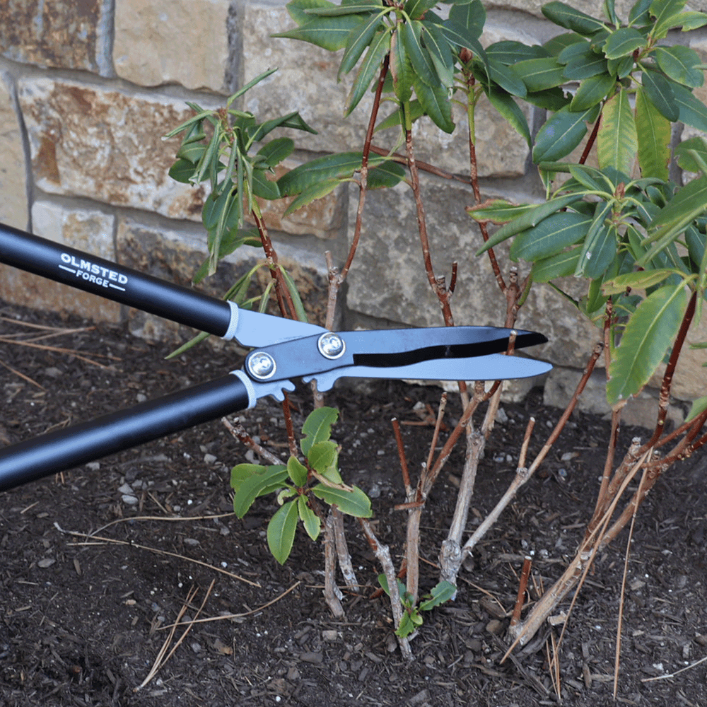 25" Geared Hedge Shears