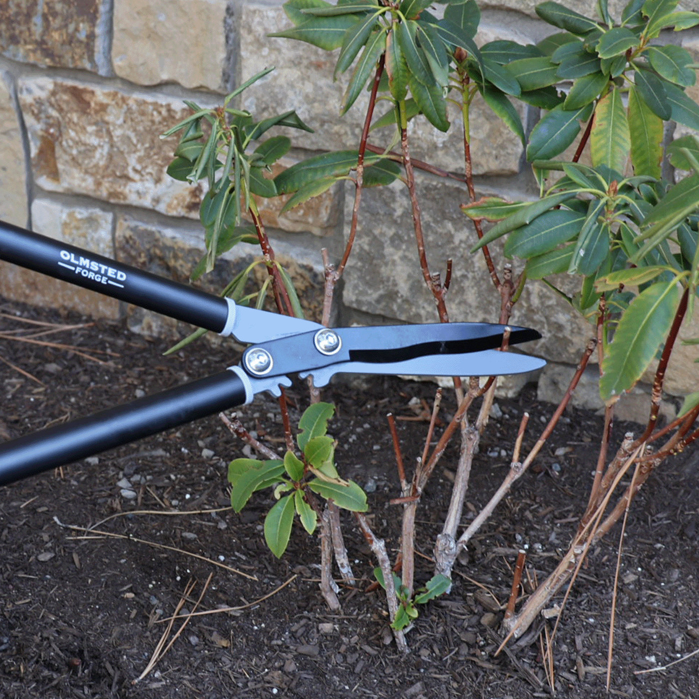 geared shears 25" Geared Hedge Shears – Olmsted Forge