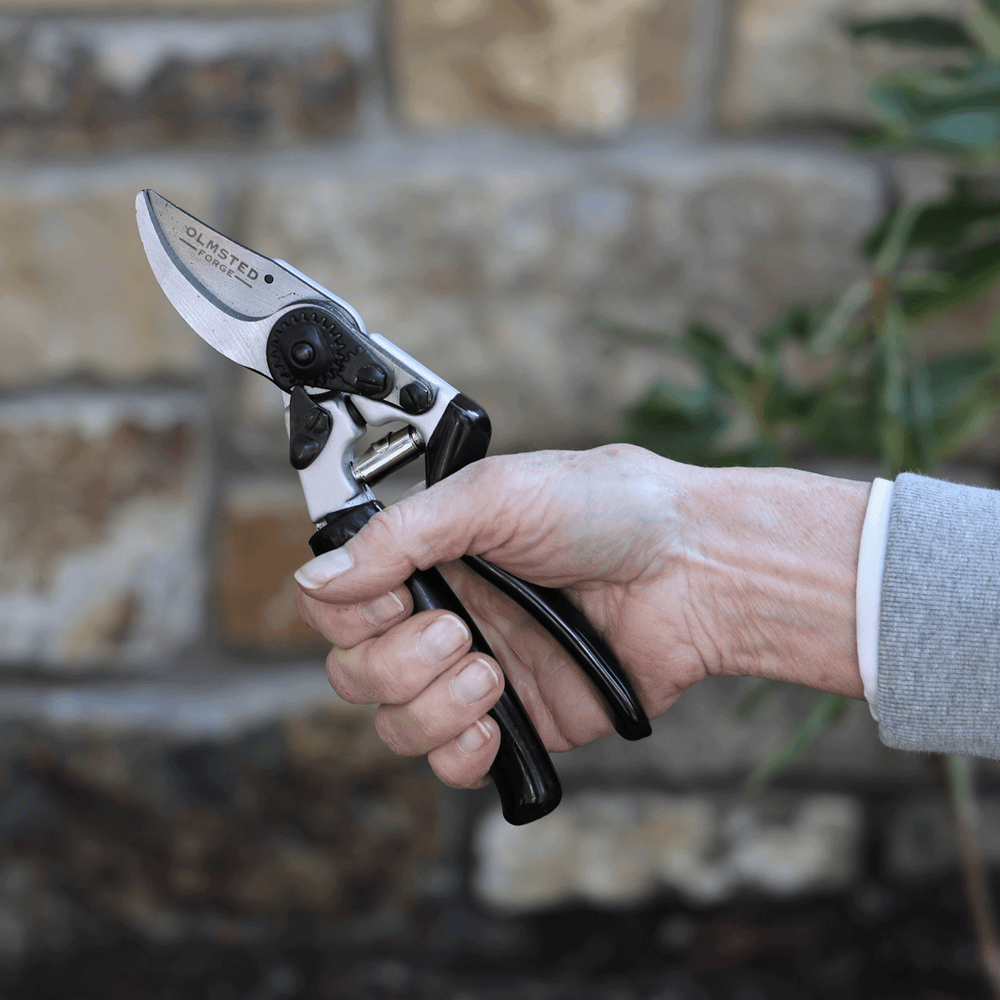 Hand Bypass Pruner with Rotating Handle